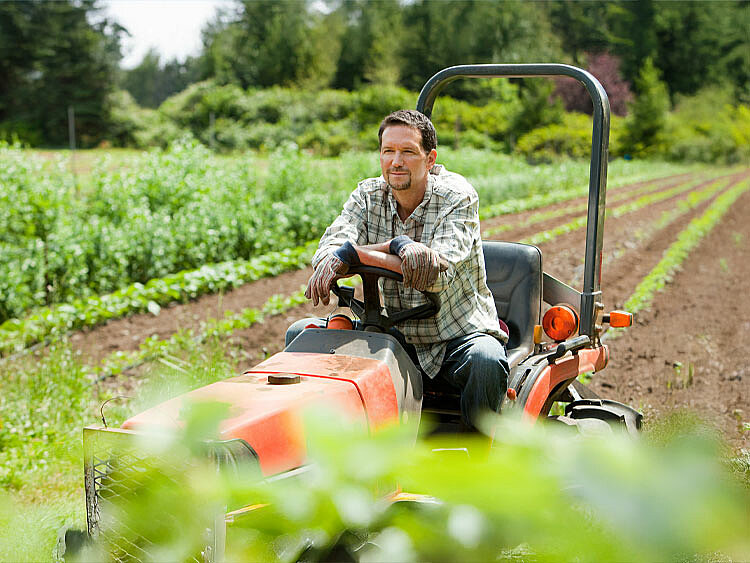 Ein Landwirt fährt mit seinem Traktor auf einem Gemüseacker.