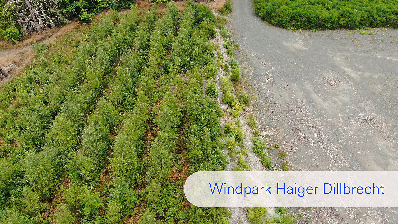 Diese Aufnahme zeigt die Fläche weitere drei Jahre später aus der Vogelperspektive: Eine gelungene Aufforstung.