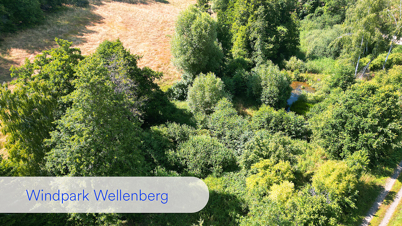 Auch aus der Luft ein rundes Bild: Wo vorher verlandete und verschlammte Teiche waren, ist ein neues Biotop entstanden, in dem sich nun der Schwarzstorch ansiedeln kann.