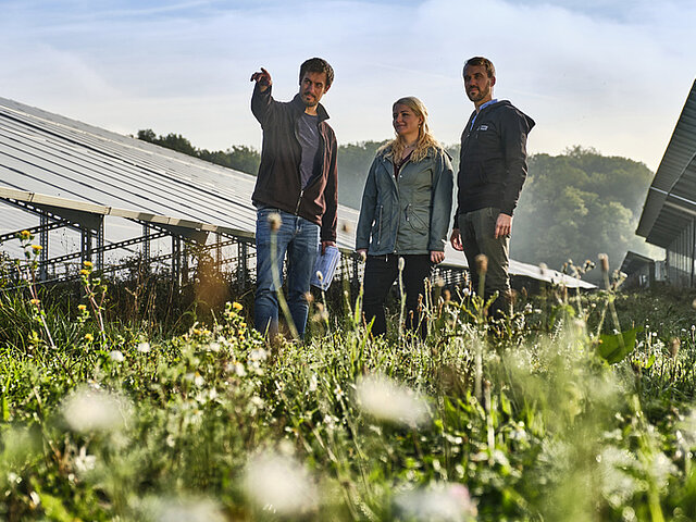 Menschen stehen in einem Solarpark und diskutieren miteinander. 