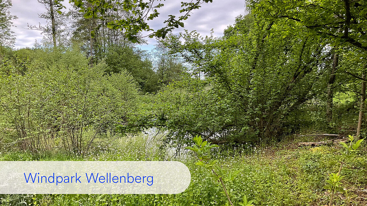 Es ist der selbe Teich zu sehen wie zuvor: Das Entwicklungsziel ist erreicht.