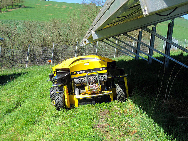 Ferngesteuerter Mähroboter mäht unter Solarmodulen einer Freiflächensolaranlage