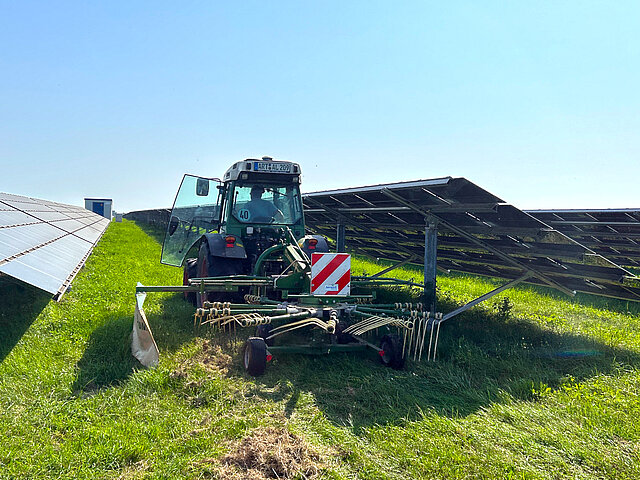 Traktor mäht Wiesenfläche zwischen Solarmodulen in einem Freiflächensolarpark.