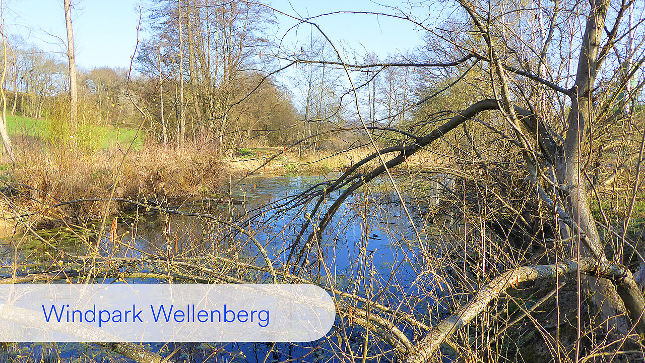 Dieses Bild wurde bei einer erneuten Begehung der Teiche ein Jahr nach der Rodung und der Neumodellierung der Teiche aufgenommen.