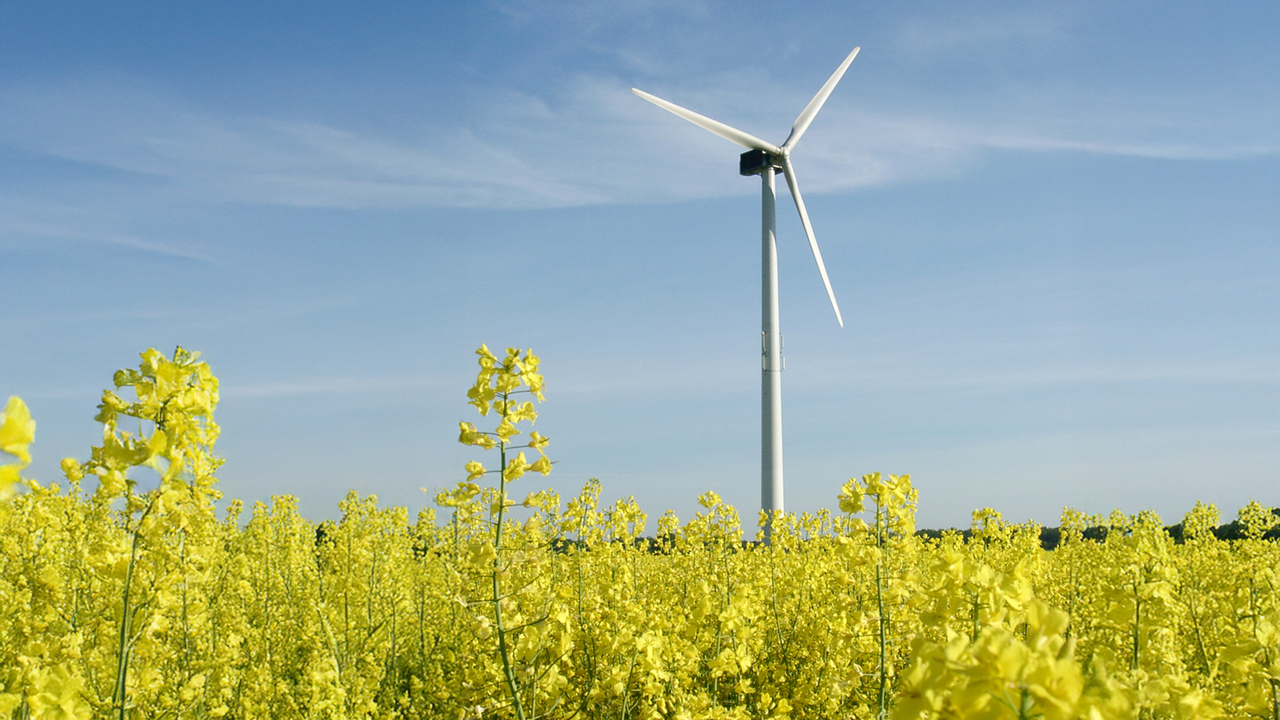 Auf beiden Seiten der Gondel befanden sich Displays, die eingetippte Nachrichten für alle sichtbar machten. Windenergie-Anlage auf einem Rapsfeld.